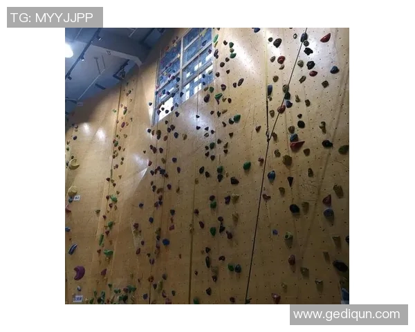 南京攀岩队在马拉松大满贯中的速度表现分析与点评 南京攀岩队在马拉松大满贯中的速度表现分析与点评