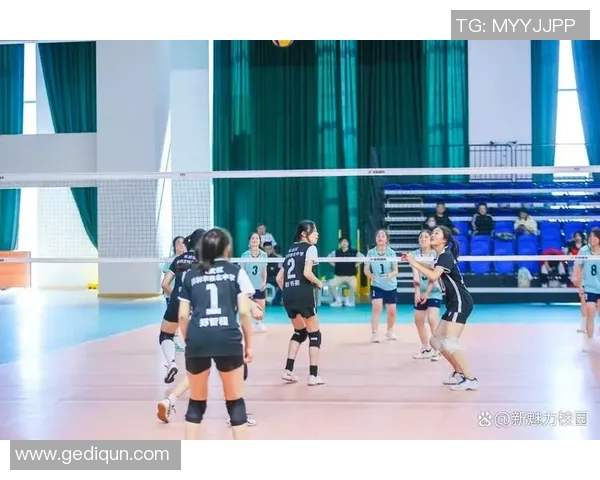 南京排球队在排球比赛中创下新高经验排名引发关注与期待 南京排球队在排球比赛中创下新高经验排名引发关注与期待