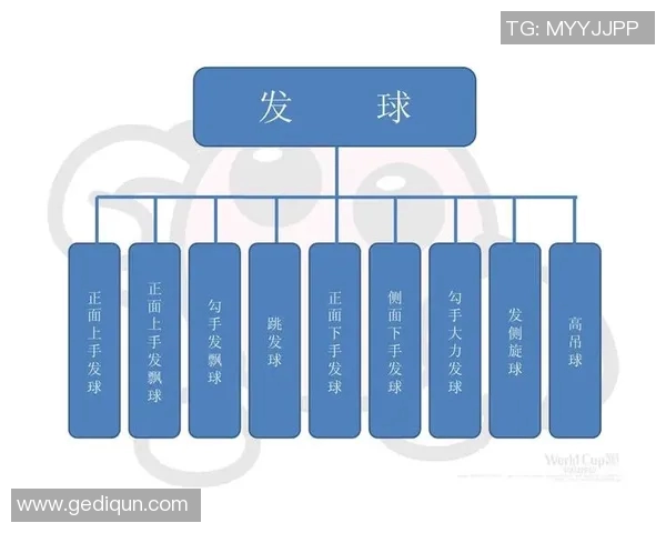 排球新手必看:从基础技术到实战技巧的全面入门指南 排球新手必看:从基础技术到实战技巧的全面入门指南