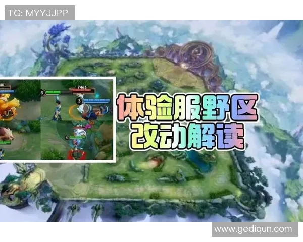 王者荣耀新手必看:全面解析游戏状态与入门技巧指南 王者荣耀新手必看:全面解析游戏状态与入门技巧指南