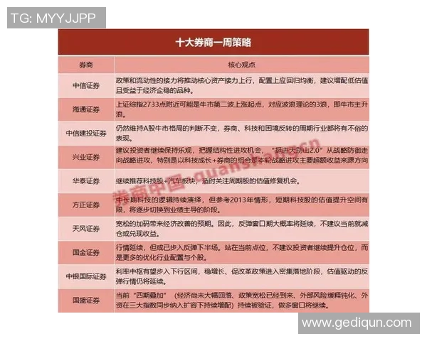 深入分析杭州排球队的防守策略与战术特点
