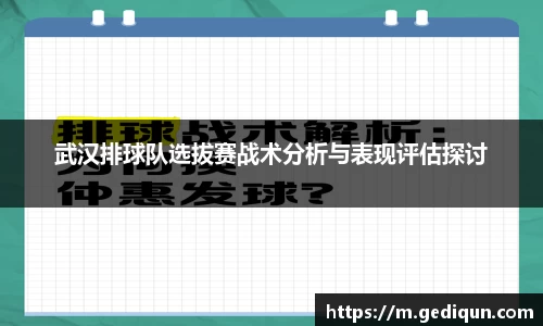 678体育